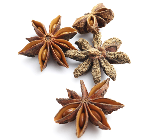 Star anise pods