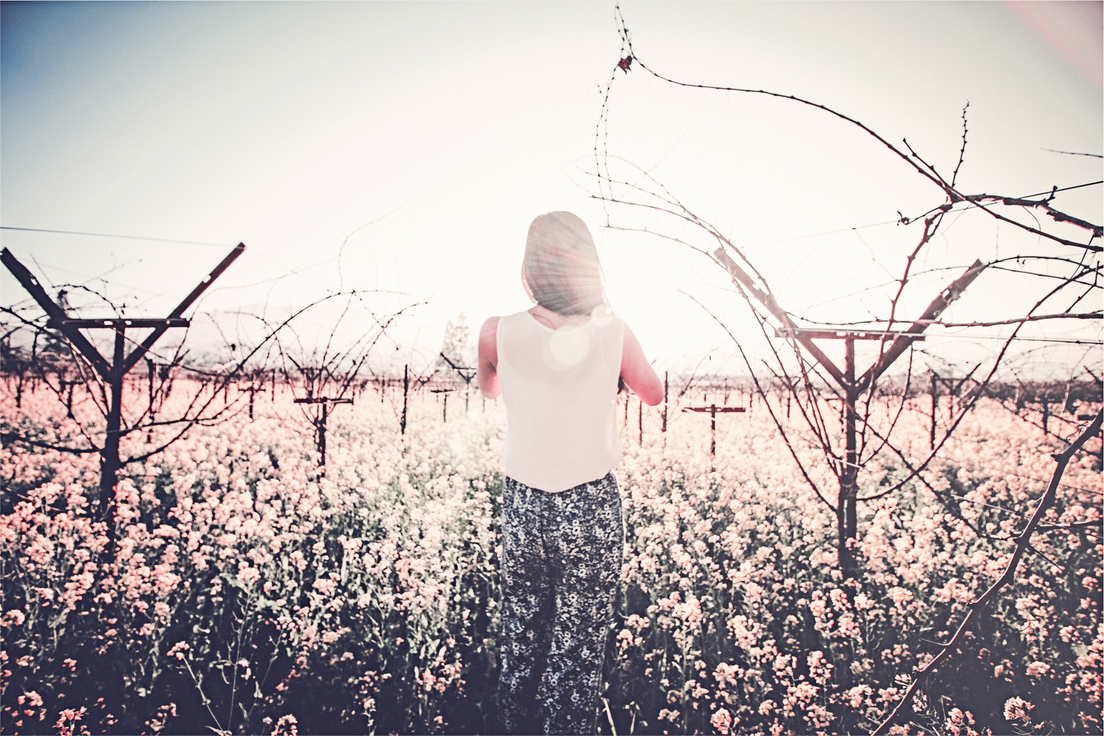 Woman standing in a field of wildflowers